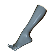 Load image into Gallery viewer, [P2] Metallic Frost Toe Socks (Knee)