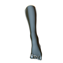 Load image into Gallery viewer, [P2] Metallic Frost Toe Socks (Knee)