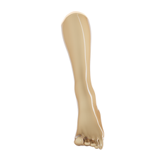 Load image into Gallery viewer, [P2] Sesame Toe Socks (Knee)