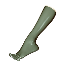 Load image into Gallery viewer, [P2] Metallic Fern Toe Socks (Knee)