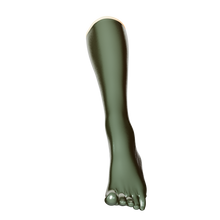 Load image into Gallery viewer, [P2] Metallic Fern Toe Socks (Knee)