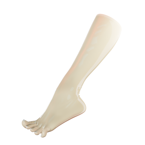 Translucent Natural Toe Socks (Knee High)