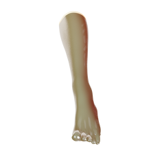 Load image into Gallery viewer, [P2] Celestial Trans Natural Toe Socks (Knee)