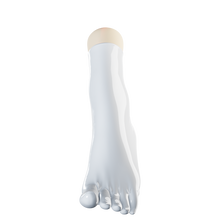 Load image into Gallery viewer, Pearl White Toe Socks (Ankle Length)