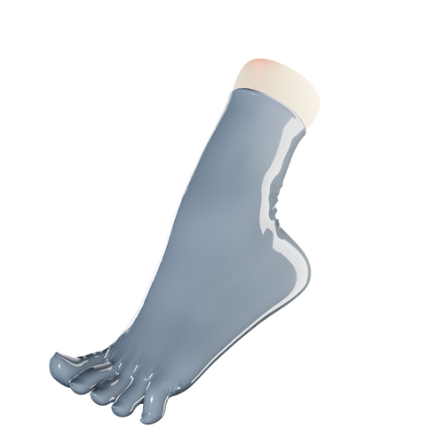 Slate Gray Toe Socks (Ankle Length)